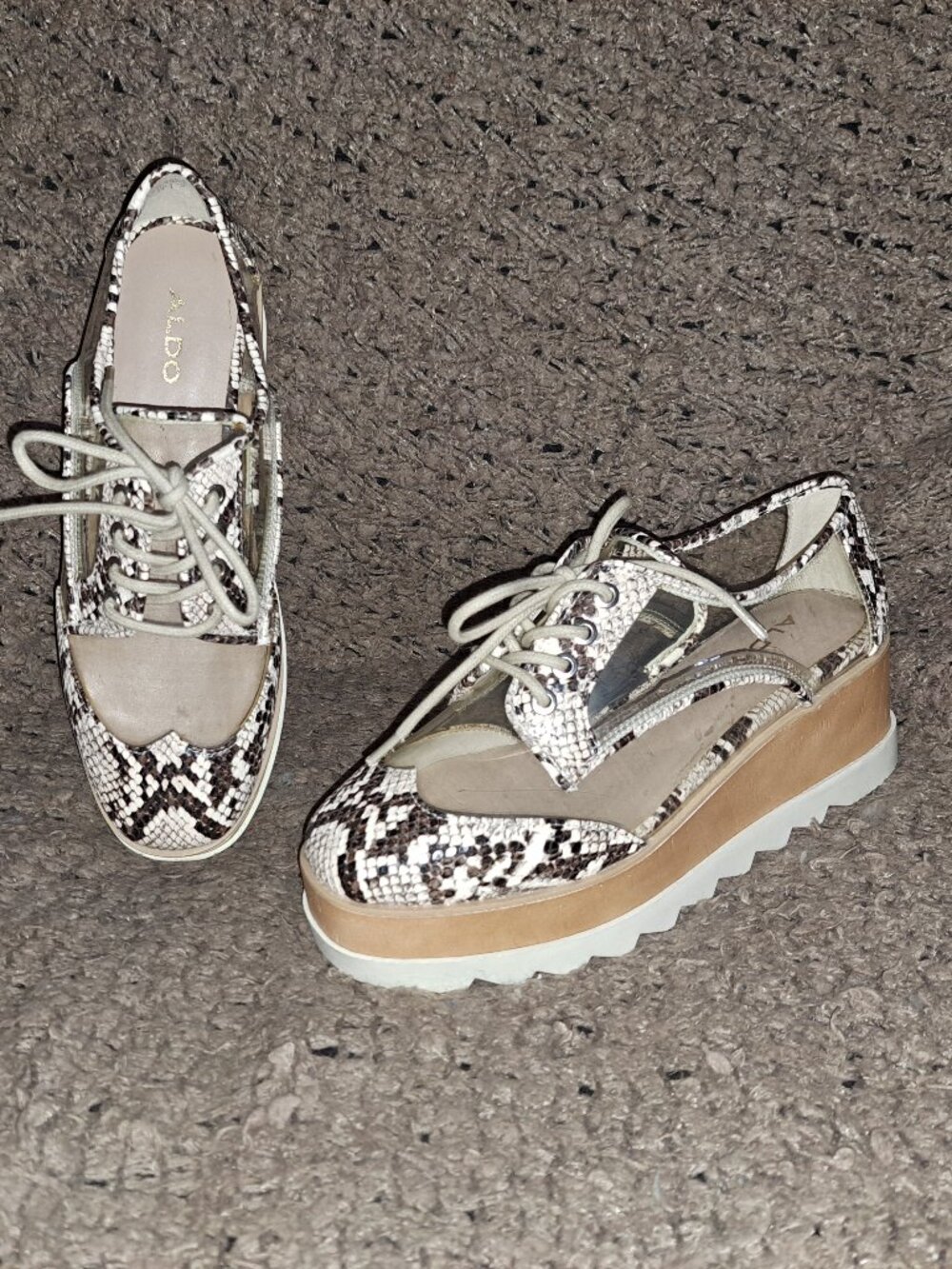ALDO-Sassafras-Clear & Snakeskin Pattern Platform Oxfords-Lace Up-Sz 6.5-NWOB
